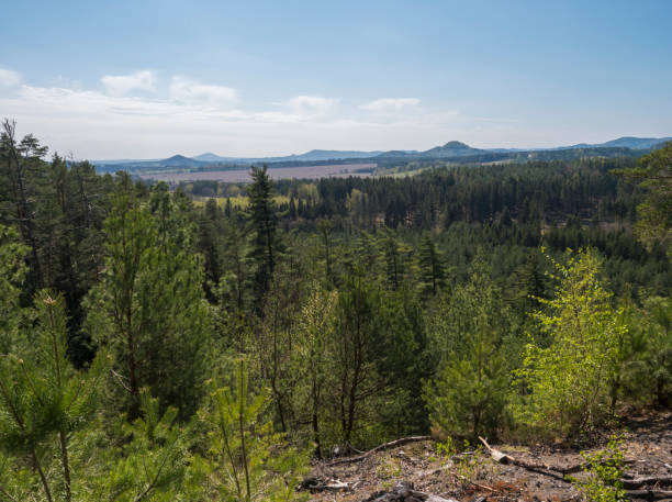 istock Spring landscape in Lusatian Mountains view from sandstone rocks, green hills, fresh deciduous and spruce tree forest. Blue sky background, horizontal, copy space 1416541478