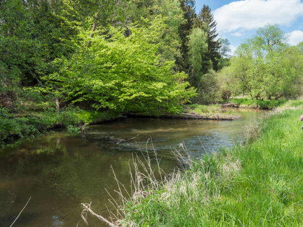 istock idyllic landscape of winding river stream meander at lush green meadow with deciduous tree forest, blue sky backgound. Late spring sunny afternoon, vibrant colors 1416542084