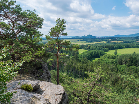Panoramic view from sandstone rock viewpoint Havrani skaly, spring landscape in Lusatian Mountains , green hills, fresh deciduous and spruce tree forest. Blue sky background, copy space.