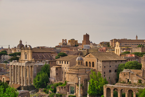 roman ruins, forum, Rome Italy, in may