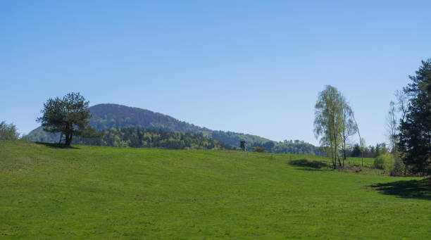 istock idyllic spring landscape in lusitian mountains, with lush green grass meadow, fresh deciduous and spruce tree forest, hills and high seat, blue sky background, horizontal 1416545878