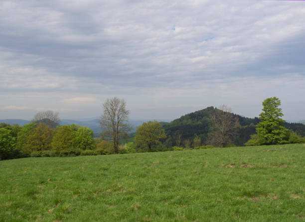 istock idyllic spring landscape lucitian mountains, with lush green grass meadow, fresh deciduous and spruce tree forest, hills, blue sky white clouds background, horizontal, copy space 1416545885