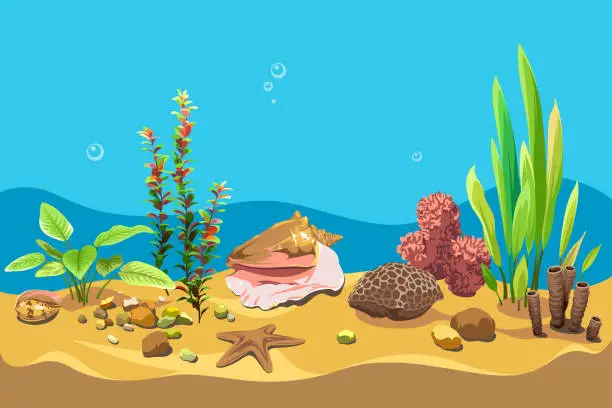Vector illustration of Vector ocean world. Exotic seascape with seaweeds, shells and corals. Colorful background for your design.