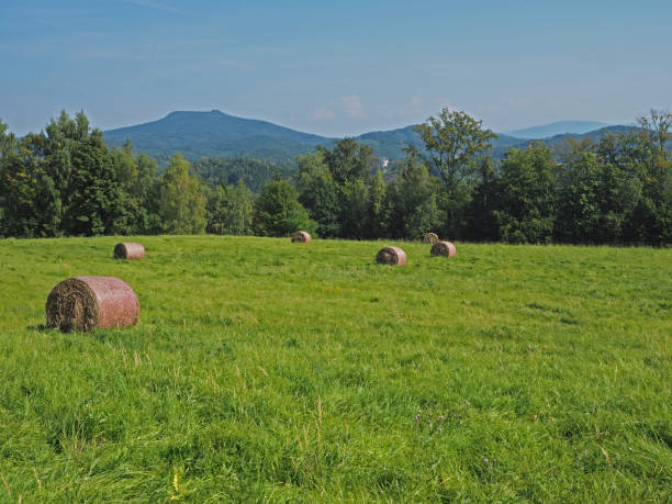 istock straw bale on green grass meadow with tree, hills and blue sky 1416546482