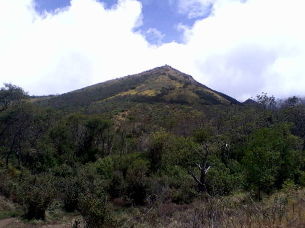 istock Savanna meadow mountain peak Merbabu 1416553915