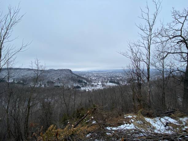 istock Snowy Midwestern Lanscape 1416559771