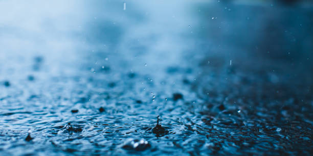 Raindrops on asphalt. Rain. Rainy weather.