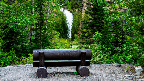 istock Viewing bench and forest waterfall in Montana 1416571491