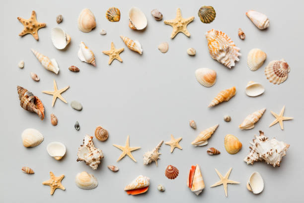 istock Summer time concept Flat lay composition with beautiful starfish and sea shells on colored table, top view with copy space for text 1416575857