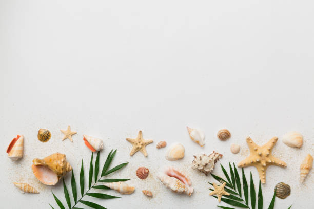 istock Summer time concept Flat lay composition with beautiful starfish and sea shells on colored table, top view with copy space for text 1416575869