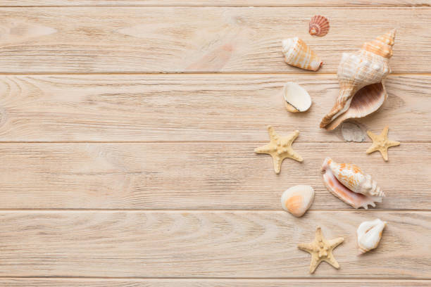 istock Summer time concept Flat lay composition with beautiful starfish and sea shells on colored table, top view with copy space for text 1416575870