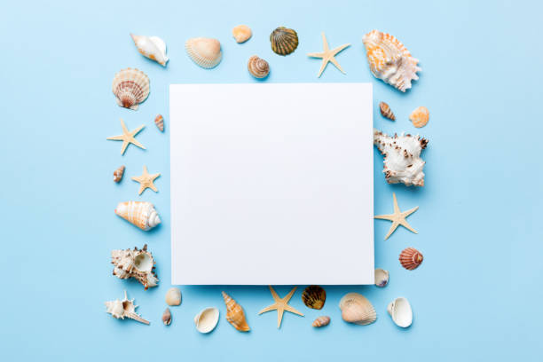 istock Summer time concept with blank greeting card and blank white paper on colored background. Seashells from ocean shore in the shape of frame separated with space for text top view 1416576431