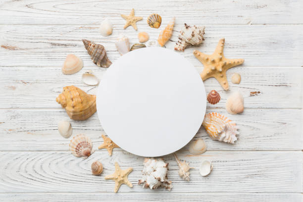istock Summer time concept with blank greeting card and blank white paper on colored background. Seashells from ocean shore in the shape of frame separated with space for text top view 1416576436