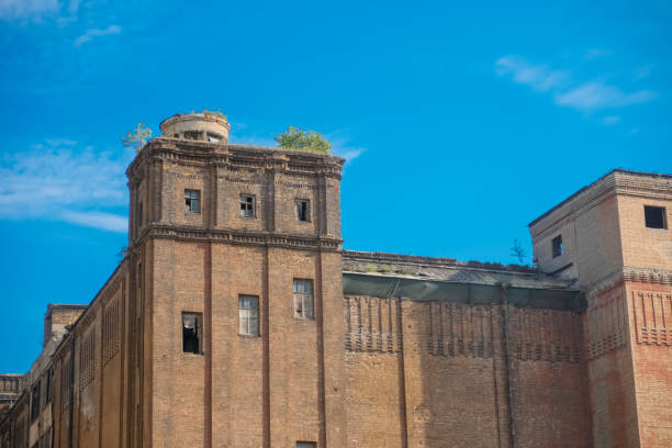 istock old tall brick building with trees growing on the roof 1416580299