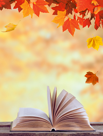 istock Autumn background with opened book 1416586343
