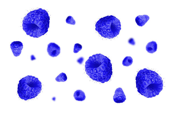 Blue Raspberry's Scattered 50,100+ Blue Raspberry Stock Photos, Pictures & Royalty-Free Images ...
