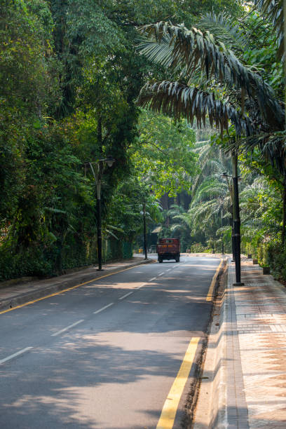 istock Incredible beautiful places in Malaysia wild forest 1416600662