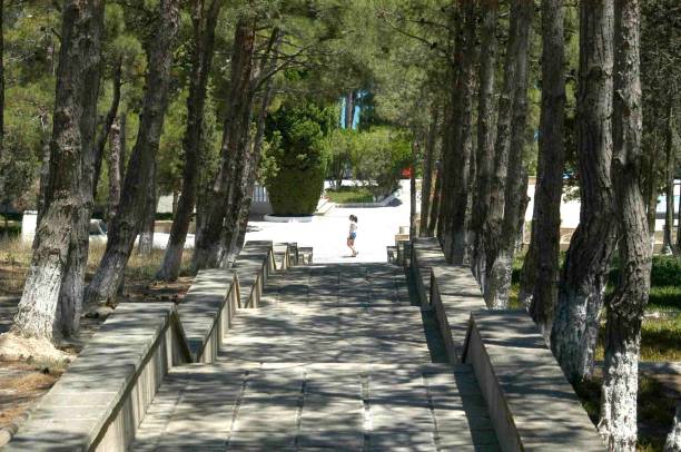 istock Sanatorium KGB rest summer beautiful landscape with sea view through the tree 1416600703