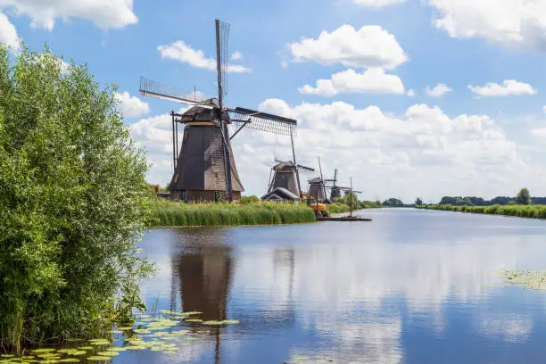 Photo of Windmills in a row in the UNESCO site of Kinderdijk in the Netherlands.
