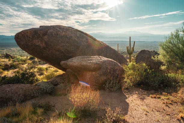 Sunrise in sonoran desert with saguaro cacti and desert landscape