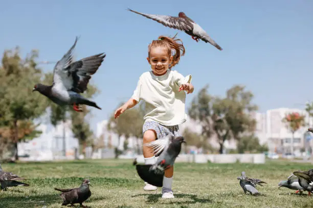 Photo of Little Girl Running Towards A Flock Of Pigeons In The Park