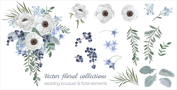 Vector floral set with leaves and flowers. Elements for your compositions, greeting cards or wedding invitations. White anemones, bellflowers and blueberries