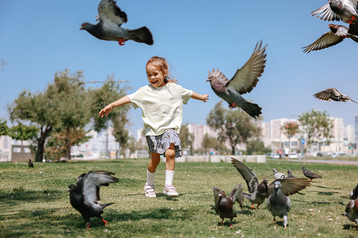 A girl scares the pigeons in the city park. A flock of birds is eating sitting in a gray square. A child runs and scares the birds.