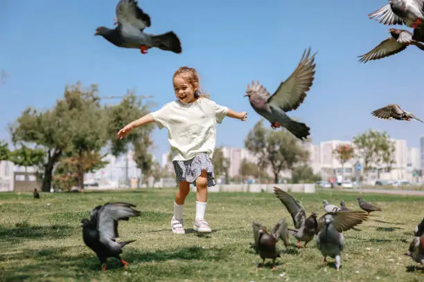 Photo of Little Girl Running Towards A Flock Of Pigeons In The Park