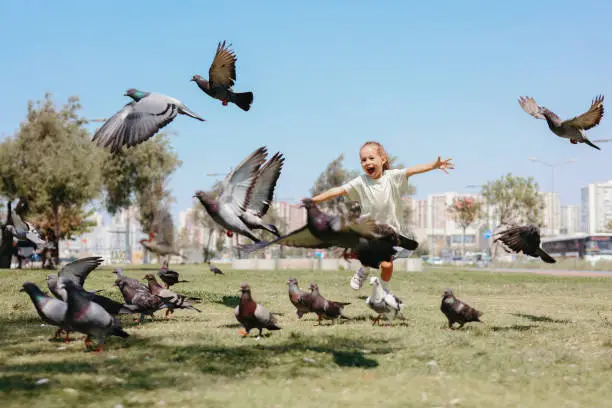 Photo of Little Girl Running Towards A Flock Of Pigeons In The Park