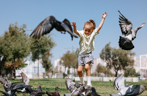 A girl scares the pigeons in the city park. A flock of birds is eating sitting in a gray square. A child runs and scares the birds.