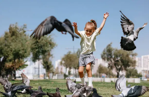 Photo of Little Girl Running Towards A Flock Of Pigeons In The Park