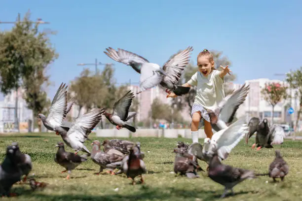 Photo of Little Girl Running Towards A Flock Of Pigeons In The Park