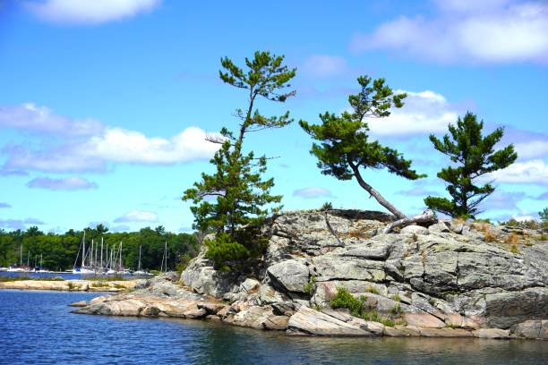 istock Georgian Bay Island with 3 Pines 1416631074