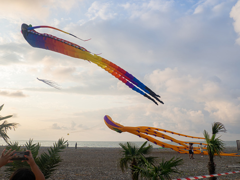 Wind. Festival of kites. Flying a huge kite in the shape of a squid. People fly kites. Beauty in the sky Place on the sea. Holiday by the sea