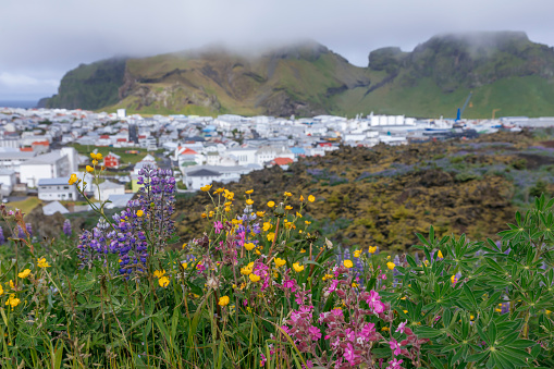 Heimaey is the largest island of the Westman Islands and the only one that is inhabited.
