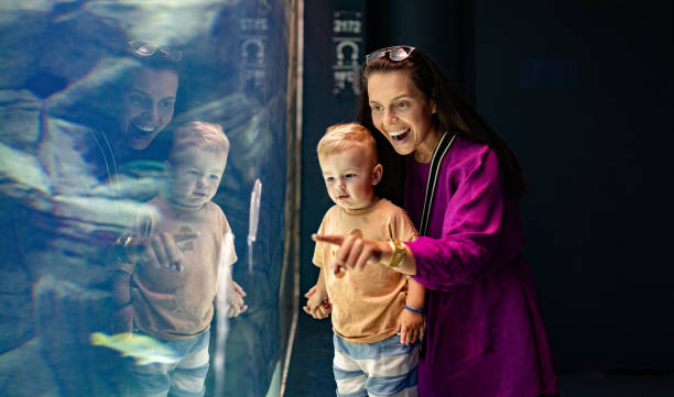 istock Mother and her child watching sea life 1416651390