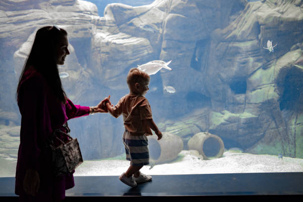 istock Mom and son enjoy the aquarium 1416651398
