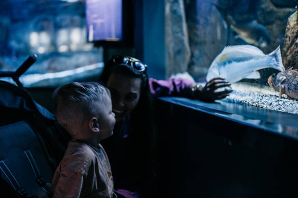 istock Mom and son enjoy the aquarium 1416651415