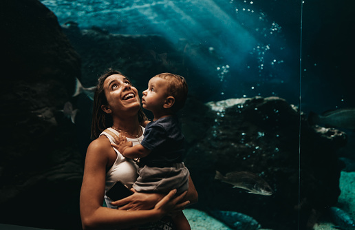 Mom son and aquarium