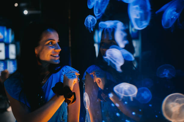 istock Woman looking at jellyfish 1416651952