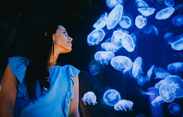 해파리를 보는 여자 - aquarium biology jellyfish nature 뉴스 사진 이미지