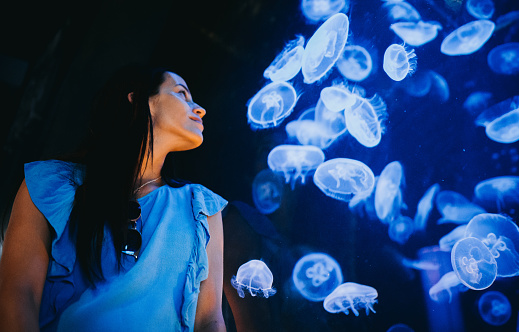 Woman looking at jellyfish