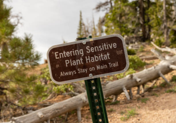 istock Entering Sensitive Plant Habitat Sign 1416691525