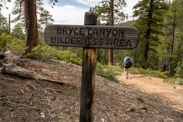 istock HIking Past The Bryce Canyon Wilderness Sign 1416691561