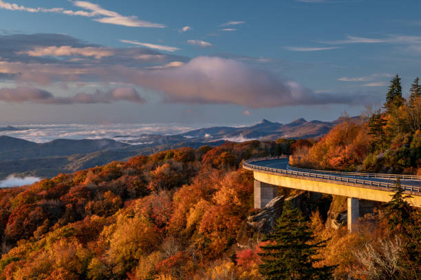 istock Linn Cove Viaduct Curves Over Fall Trees 1416692695