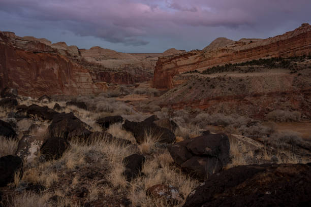 istock Orchards In The Valley Below The Orange Cliffs Of Capitol Reef 1416692855