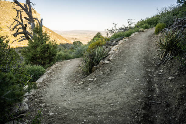 Switchback Heads Uphill In Morning Shade toward Lookout Point in Mesa Verde