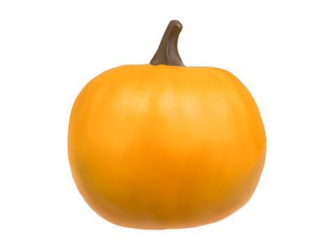 Isolated pumpkin on white background