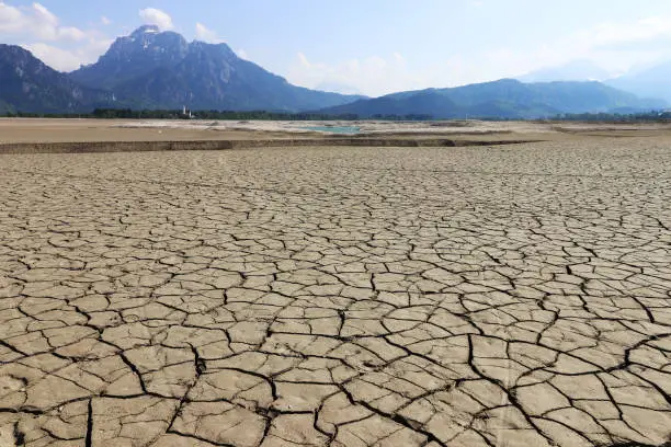 Photo of A dried up cracked bottom on a lake