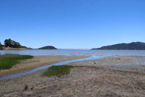 istock Shoreline park at Tiburon California 1416703273